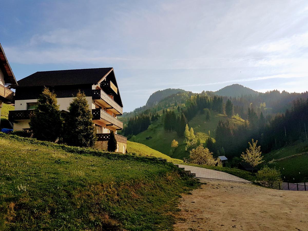 Carpatica Lodge Moeciu De Sus Exterior photo